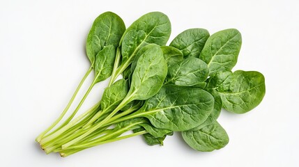 image of the spinach. on a white background. cut off