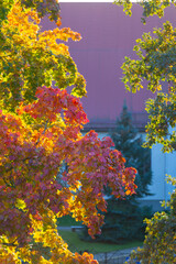 colorful, sunny autumn day in Latvia