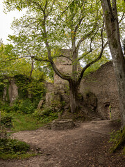 Zamek Bolczów  zabytkowy zamek z fragmentami naturalnych skalnych ścian, znajdujący się około 15 km od Jeleniej Góry w Polsce