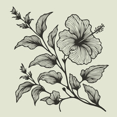 Adobe Illustrator Artwork
set of contour spring flowers hibiscus
line art floral, leaves
black and white illustration Chinese rose
set of decorative elements of plants stylized