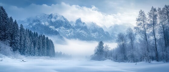 Obraz premium Serene winter valley nestled between foggy peaks