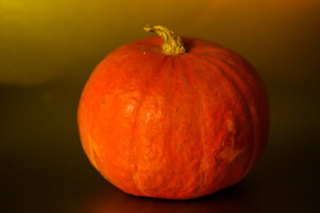 Hokkaido on a gold background