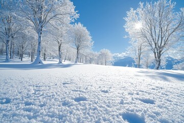Fototapeta premium Snowy winter season background in nature