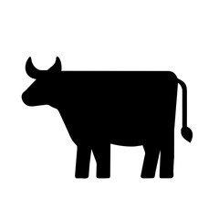 cow
