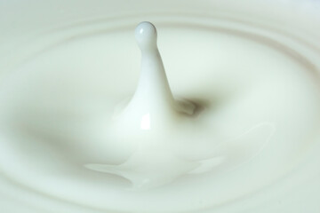 salpicadura de leche en plano corto