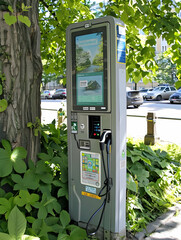 A parking meter surrounded by greenery, designed for vehicle parking payments.