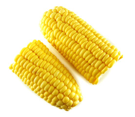 Fresh corn isolated on white