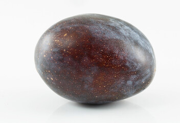 plum isolated
