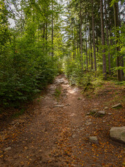 Obraz premium Droga na Zamek Bolczów, zabytkowy zamek, z fragmentami naturalnych skalnych ścian, Jeleniej Góry w Polsce, 