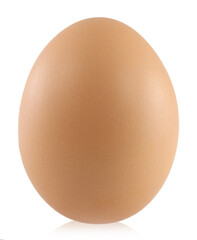Single brown chicken egg isolated on white