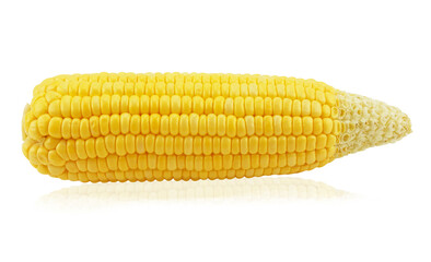 An ear of corn isolated on a white background