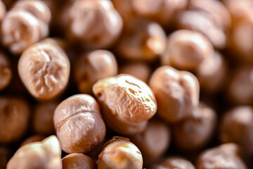 Close-up of chick peas or gram