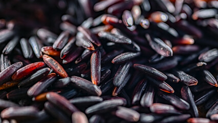 Close-up of black rice or purple rice