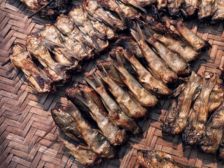 dried fish, dry fish image for preservation menu concept