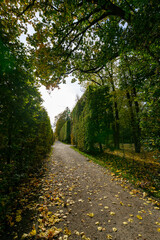 Autumn in the park, colorful tree leaves, wide angle view autumn scene