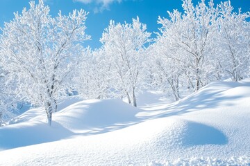Obraz premium Snowy winter season background in nature