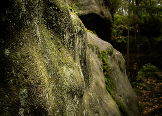 moss on rocks