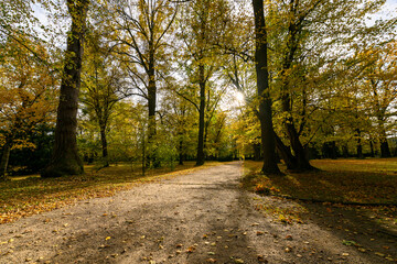 Autumn in the park, colorful tree leaves, wide angle view autumn scene