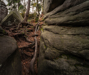 Stone wall in the rock