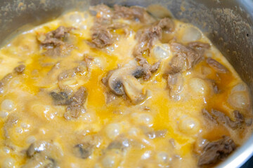 Traditional filet mignon stroganoff with mushrooms, French fries and rice