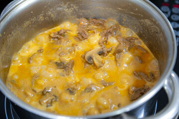 Traditional filet mignon stroganoff with mushrooms, French fries and rice