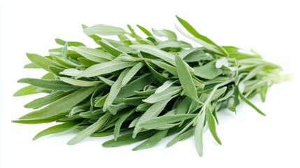 A close-up of fresh tarragon sprigs with their narrow, pointed leaves, isolated on a white background