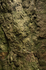Rock stone background