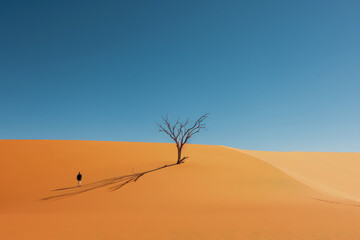 Lone Tree Casting Shadow on Desert Dunes with Solitary Figure