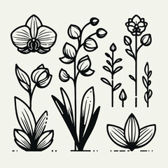 Adobe Illustrator Artwork
set of contour spring flowers orchid
line art floral, leaves
black and white illustration Phalaenopsis
set of decorative elements of plants stylized Cymbidium, Paphiopedilum