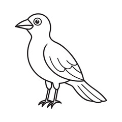 Fototapeta premium Bird Silhouette vector Graphic perfect for design projects