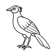 Bird Silhouette vector Graphic perfect for design projects