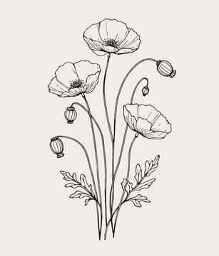 recommend clip art: set of contour spring flowers
                    line art floral, leaves
                    black and white illustration poppy, anemone
                    set of decorative elements of plants stylized