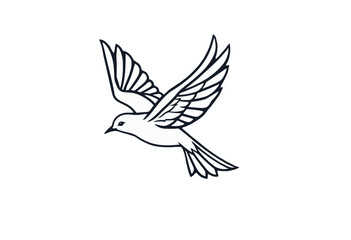 Fototapeta premium Line Art Dove Illustration