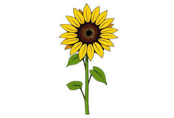 Obraz premium Sunflower with green leaves isolated on transparent background. Ideal for digital design or printing projects