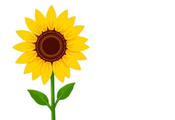 Obraz premium Single Sunflower Isolated on Transparent Background