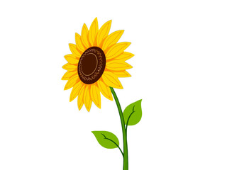 Obraz premium Simple Sunflower Vector Graphic Illustration