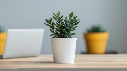 Fototapeta premium A small potted plant sits on a wooden table, with laptops in the background, creating a serene workspace atmosphere.