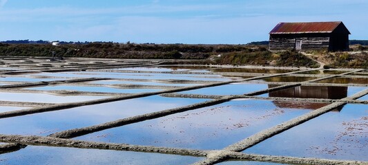 Marais salant de Guérande, Loire-Atlantique, France 