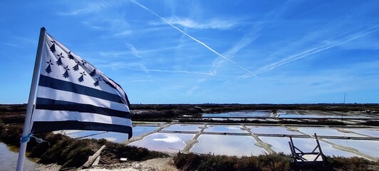 Marais salant de Guérande, Loire-Atlantique, France 