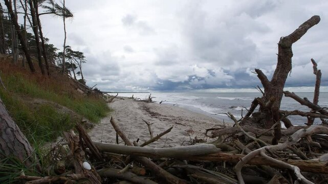 Weststrand Fischland Darss bei bew&ouml;lktem Himmel und wenig Wind