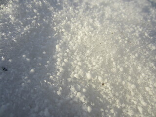Macro Snow in the Sun in Belarus 2013