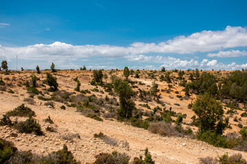 Shots around Tunisia