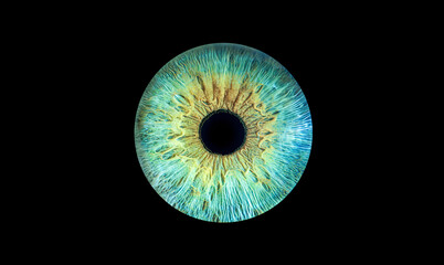 A Vibrant Abstract Eye Design with a Beautiful Colorful Texture that captivates imagination, iris