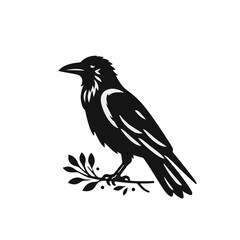Crow or raven isolated modern vector illustration