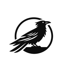 Crow or raven isolated modern vector illustration