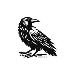 Fototapeta premium Crow or raven isolated modern vector illustration
