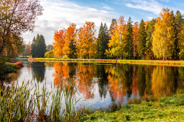 Autumn foliage in Pavlovsky park, Pavlovsk, Saint Petersburg, Russia