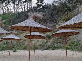 beach umbrellas on the beach