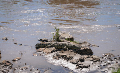 Kenya is a country in East Africa with a coastline on the Indian Ocean.