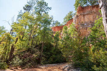 canyon in the forest 